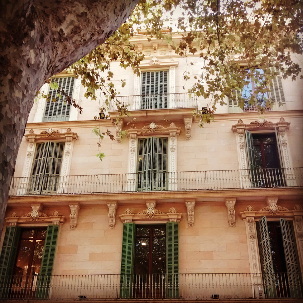 mallorca law main office in palma mallorca
